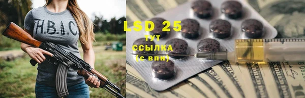 трава Беломорск