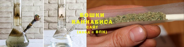 молекула духа Белокуриха